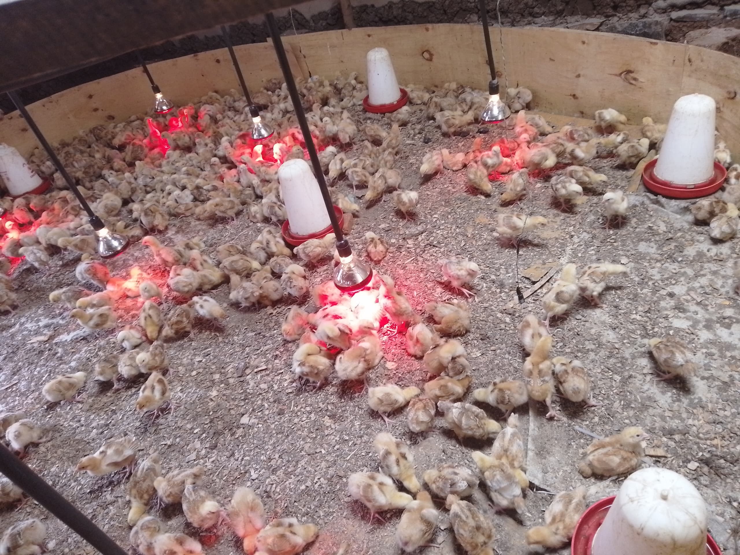 Installation view showing zone-specific heating system