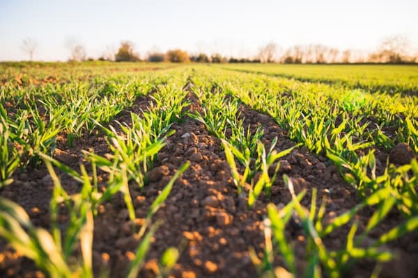 Afriinnox Agriinventions